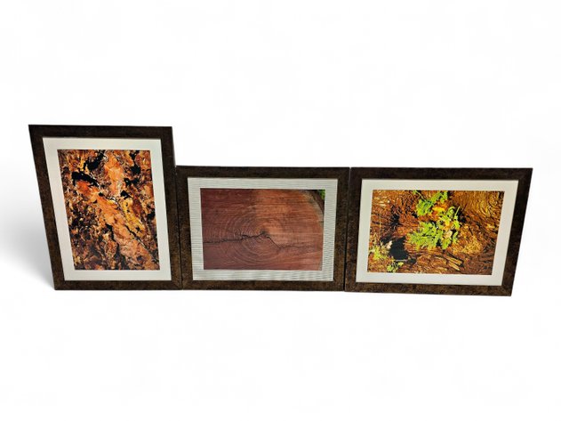 Photographs of Nature