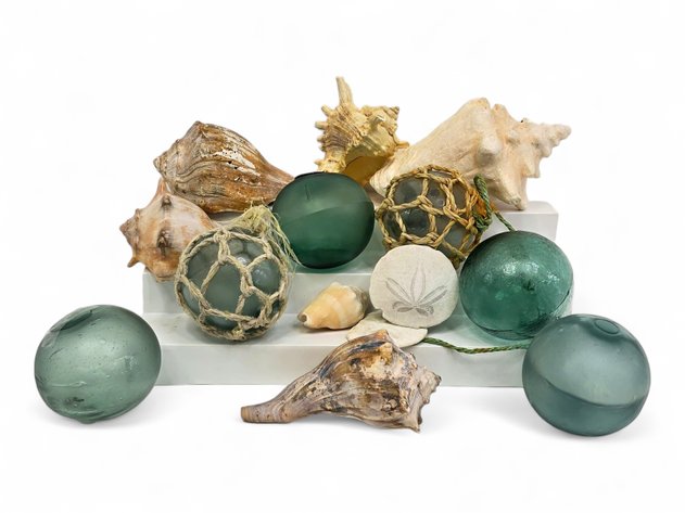 Glass Fishing Floats, Seashells & Sand Dollars