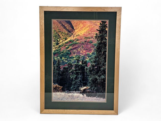 Eric R. Anderson Photograph of a Moose