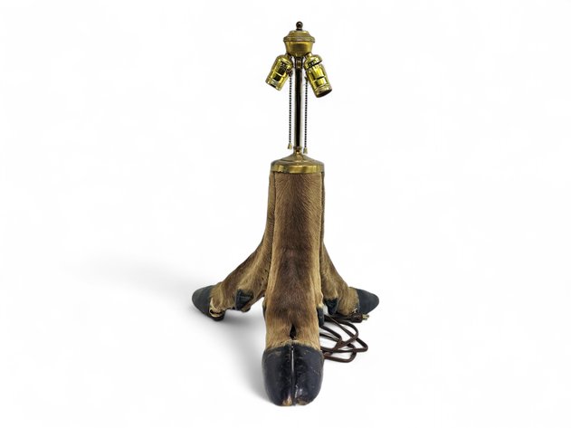 Taxidermy Hoof Lamp
