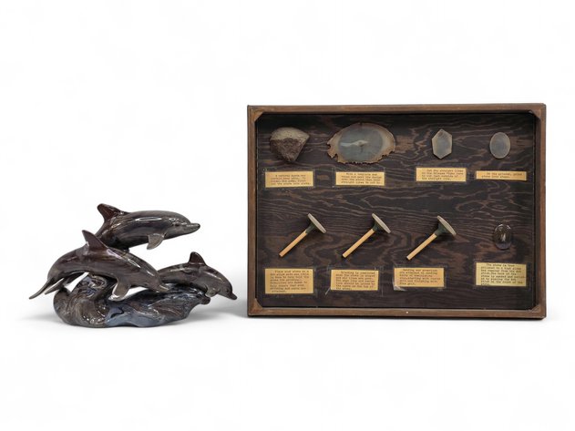 Moss Landing Molds Dolphin Figurine & Educational Display