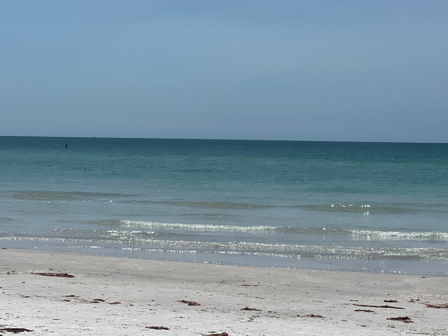 Image for 123 Test Sale