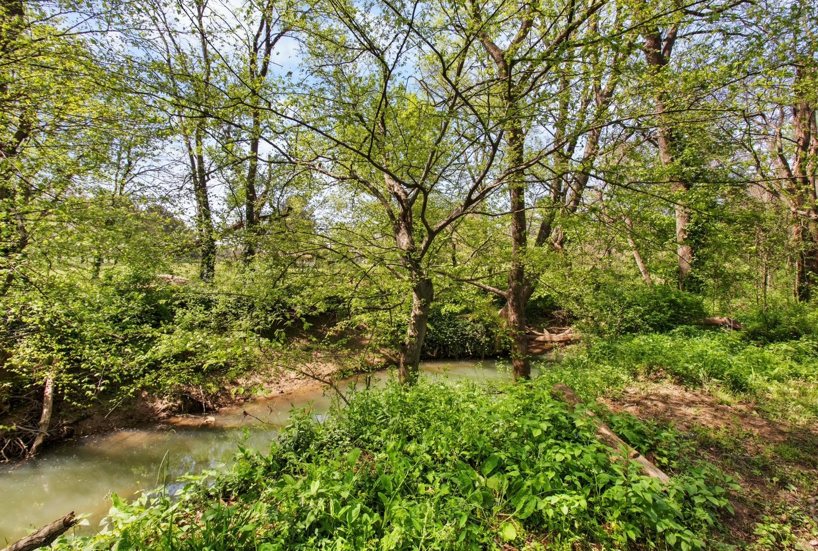 Image for 112 E Ruth Dr., Elkton, KY