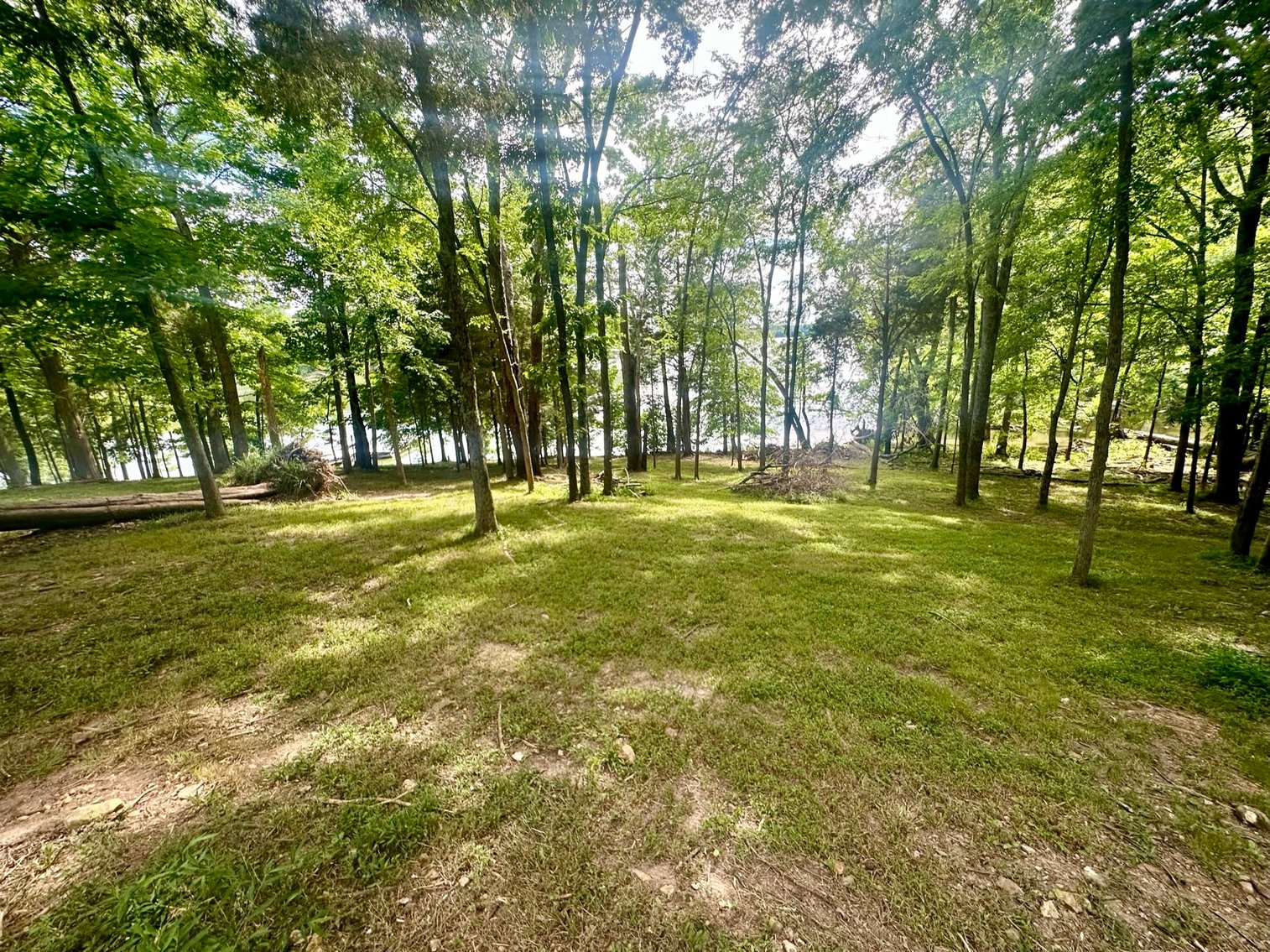 Image for 1155 Shine Ln., Cadiz, KY