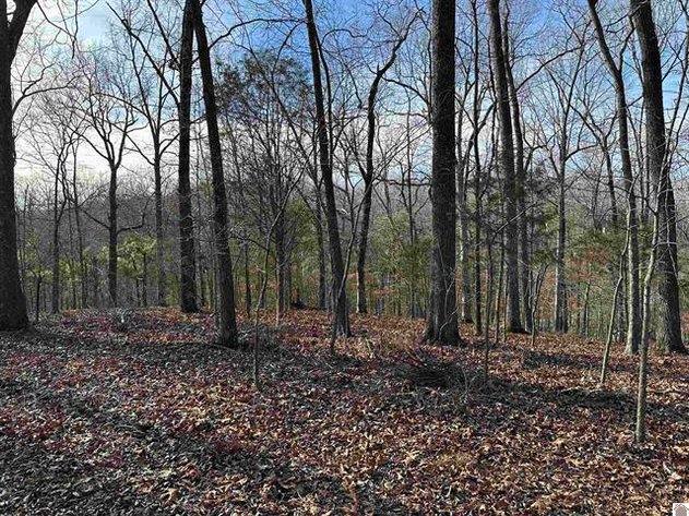 Image for Lot 31 and 32 Parkview Rd. Cadiz, KY 42211