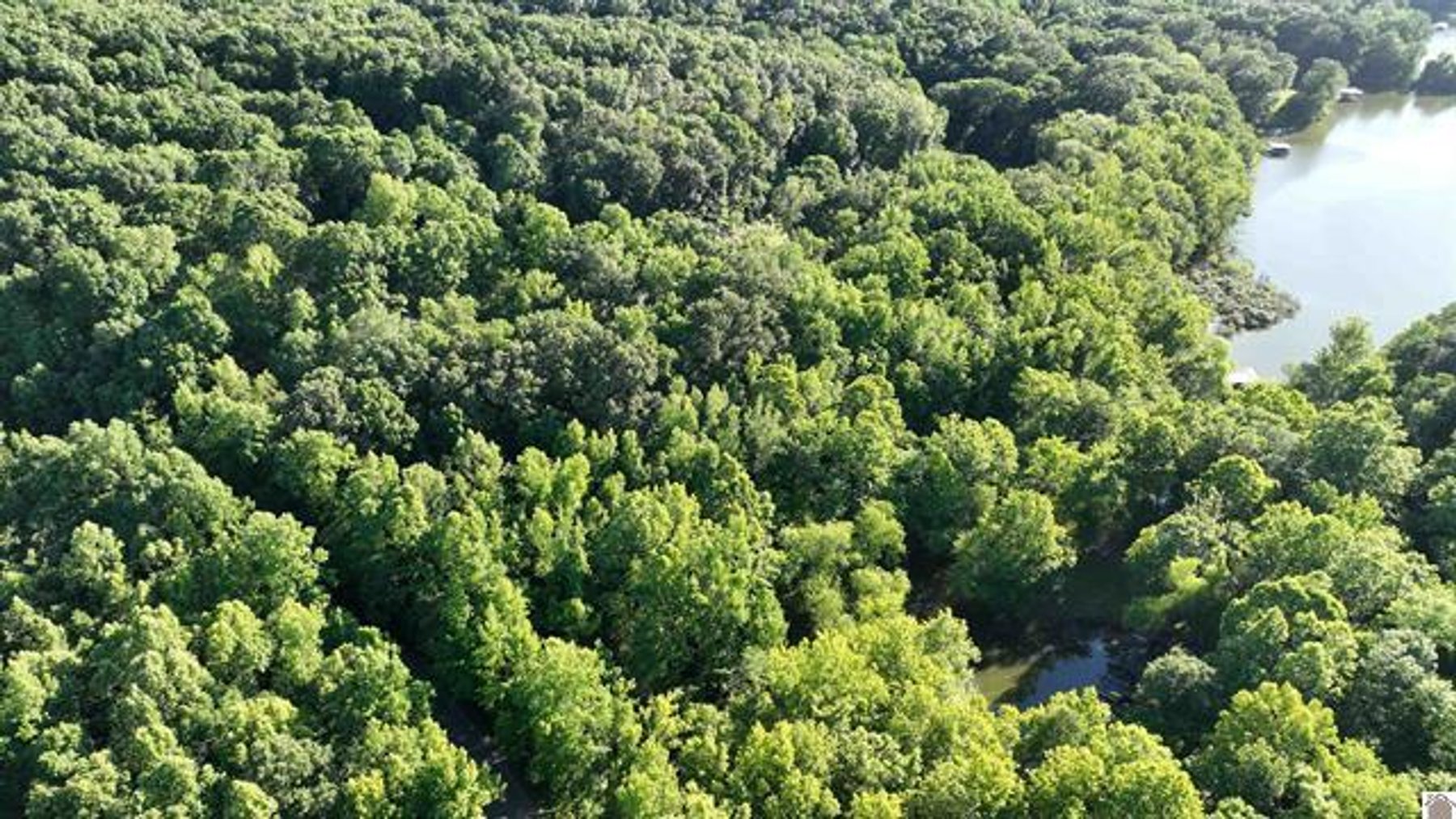 Image for 0 Canton Heights 2 Cir. Cadiz KY 42211