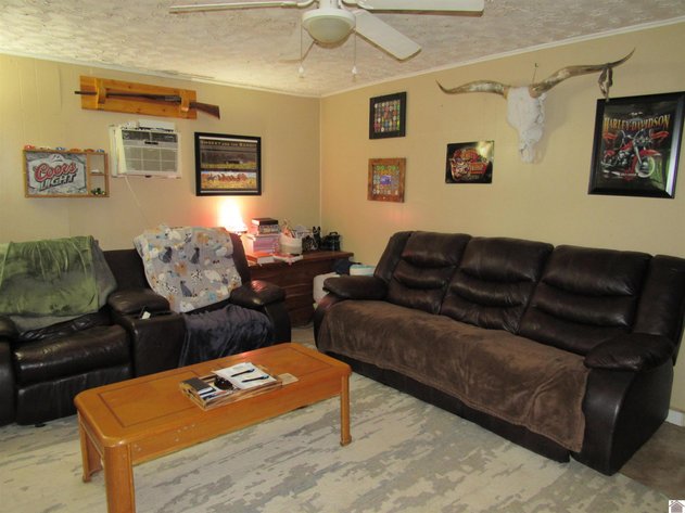 Image for 16124 Linton Road Cadiz, KY 42211