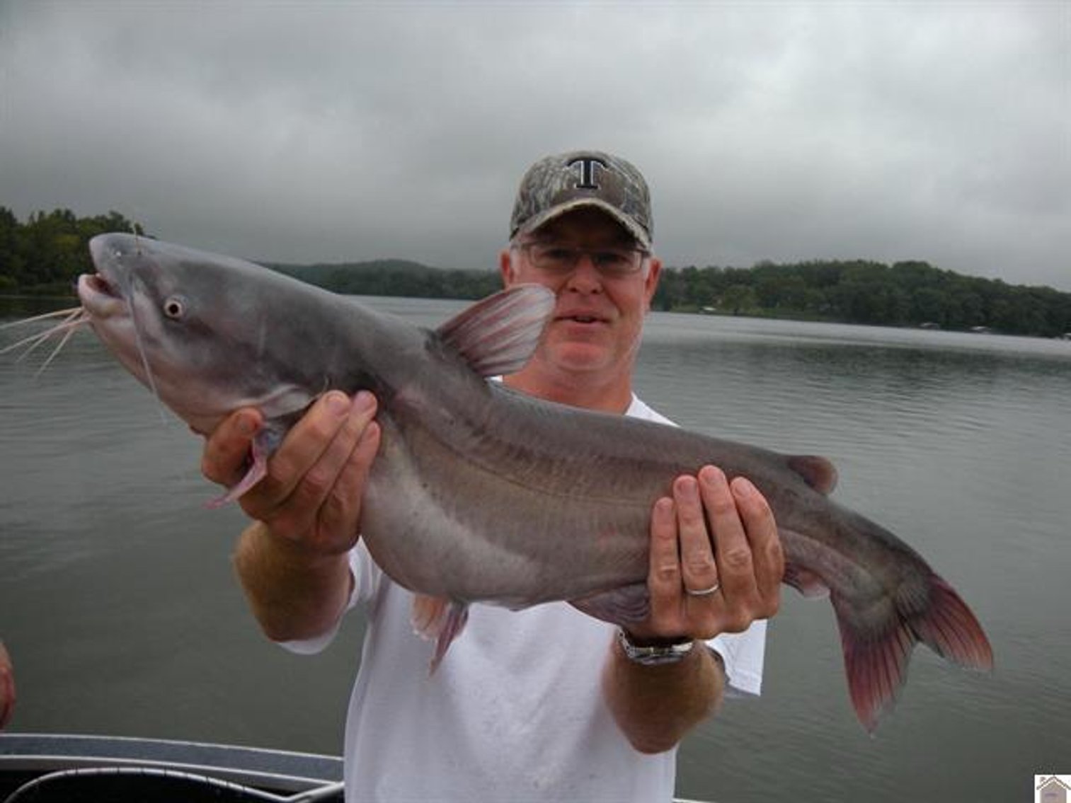 Image for 362 Solomon Drive Cadiz, KY 42211