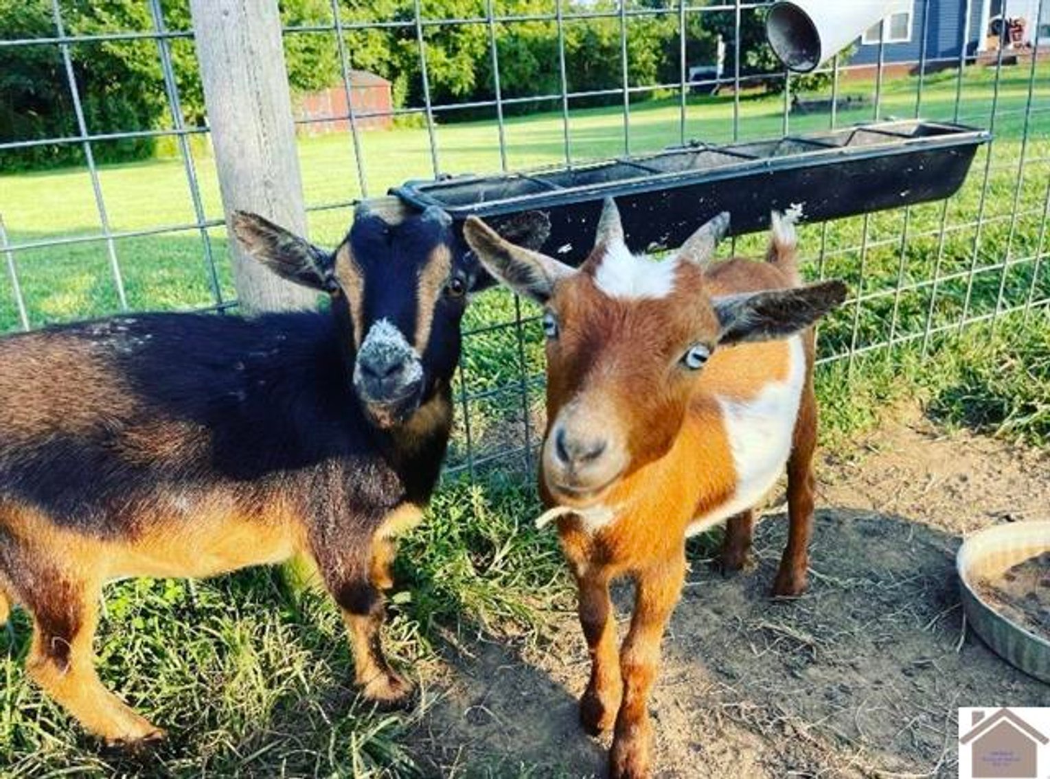 Image for 10046 Bell Chapel Road Pembroke, KY 42266