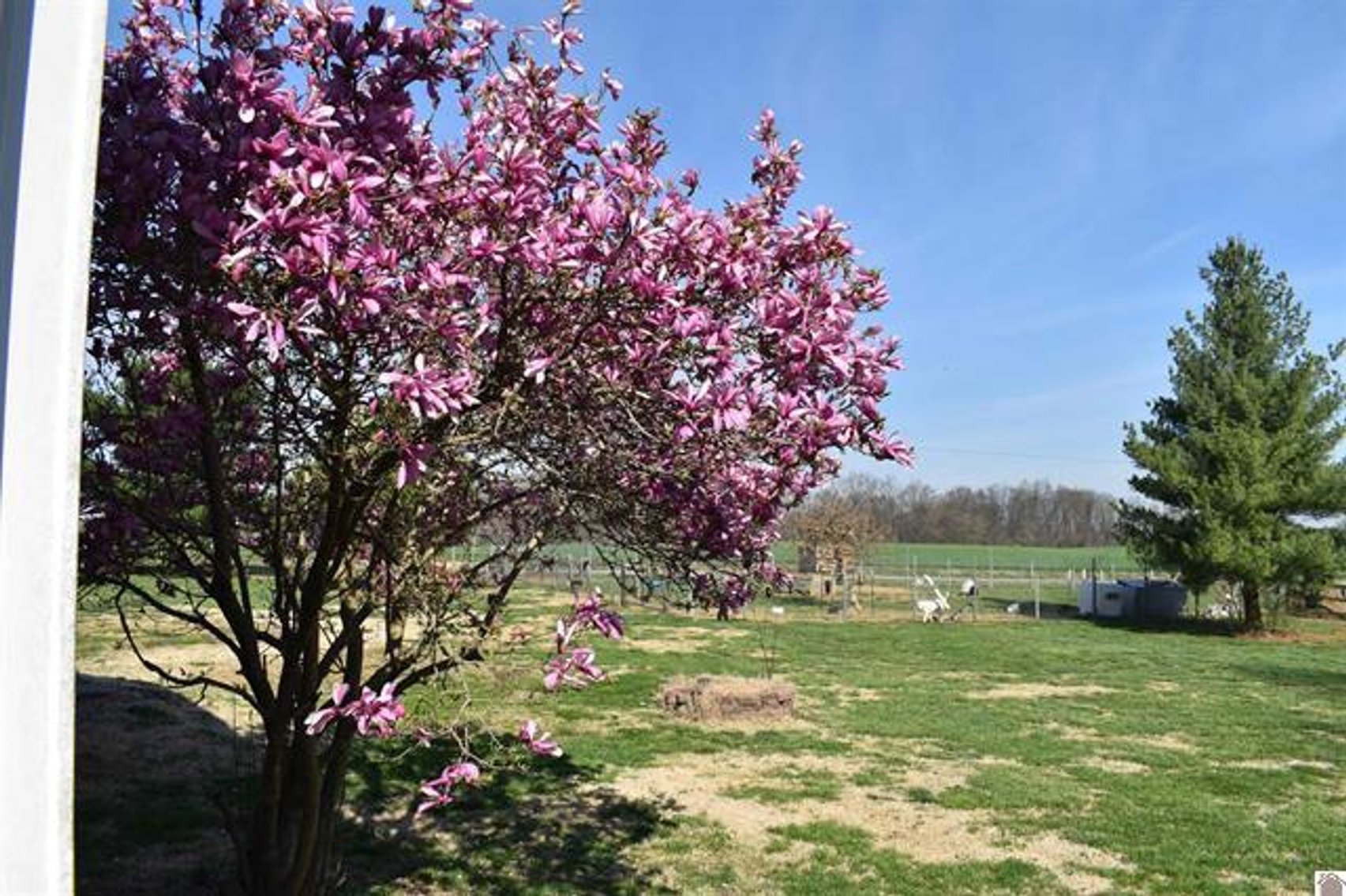 Image for 10046 Bell Chapel Road Pembroke, KY 42266