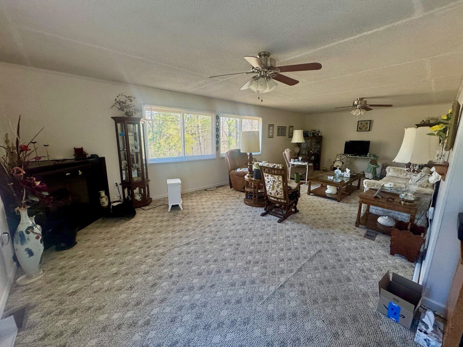 Image for Lake Area Real Estate & Personal Property Auction