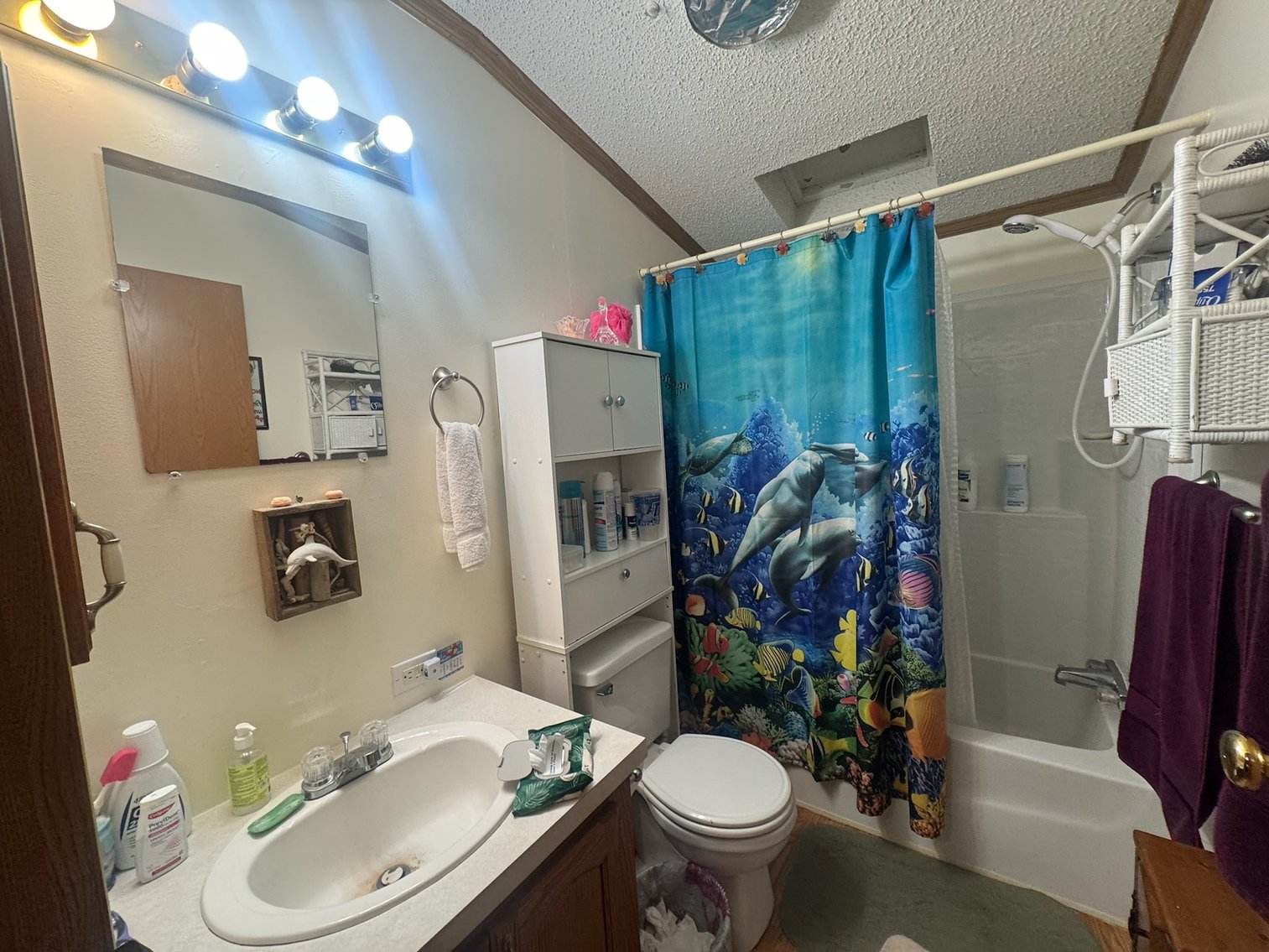 Image for Lake Area Real Estate & Personal Property Auction