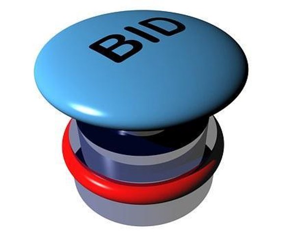 Image for Information: Bid Increments