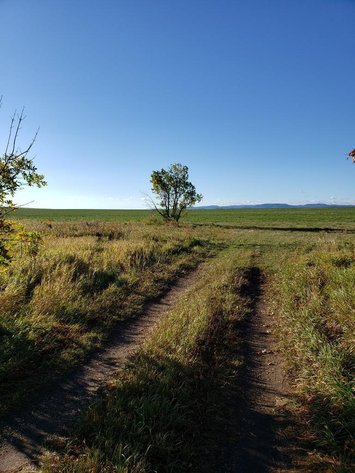 Image for Parcel 1--  25.459 Acres