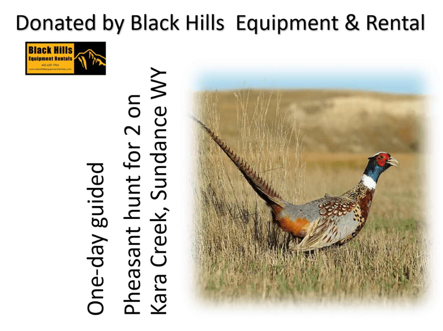 Image for Realtors for Kids - June 16th