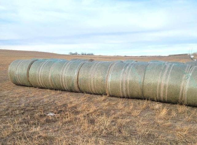 Image for Pickups, Hay, Trailers, RV's, Collectibles, Livestock Panels - February 14th