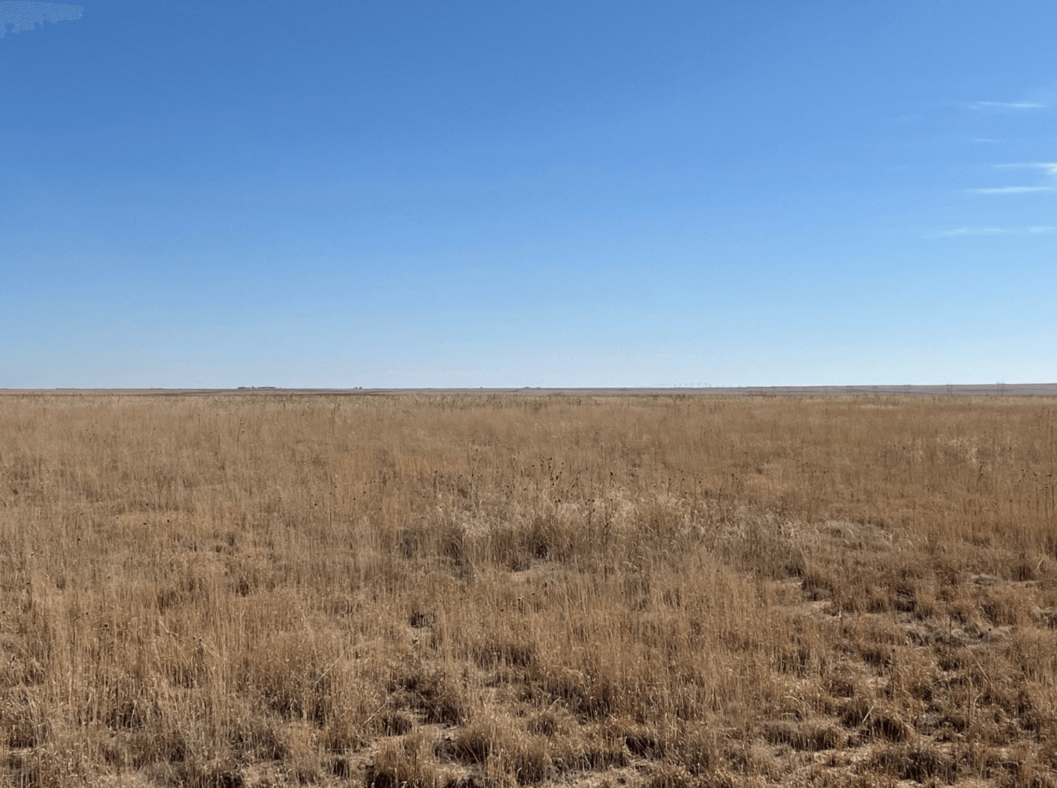 Image for KIOWA COUNTY, COLORADO - CRP (C4077)
