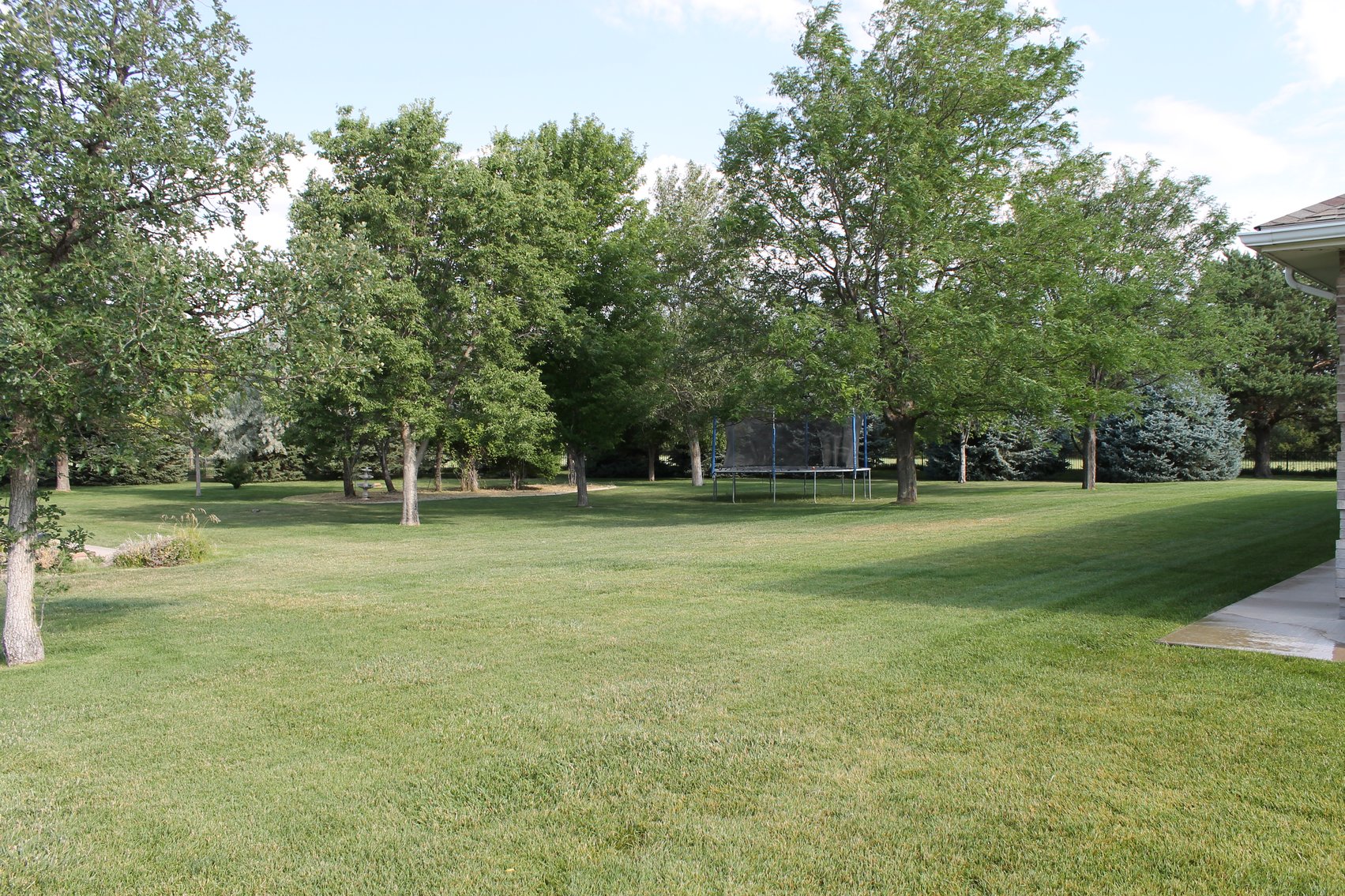 Image for KIT CARSON COUNTY, CO - RURAL PROPERTY C4080