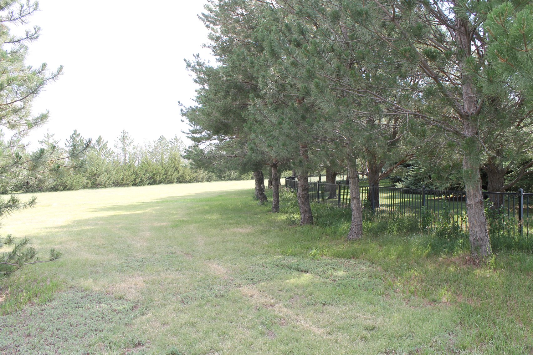 Image for KIT CARSON COUNTY, CO - RURAL PROPERTY C4080