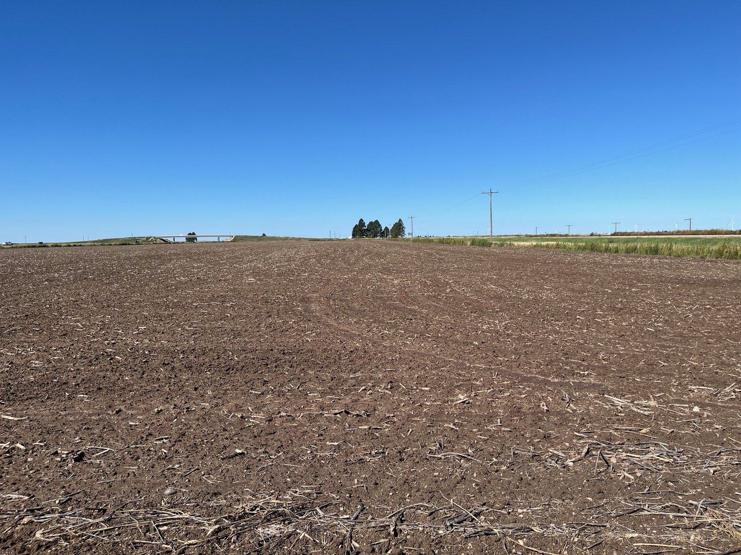 Image for SHERMAN COUNTY, KS - CROPLAND & GRASS