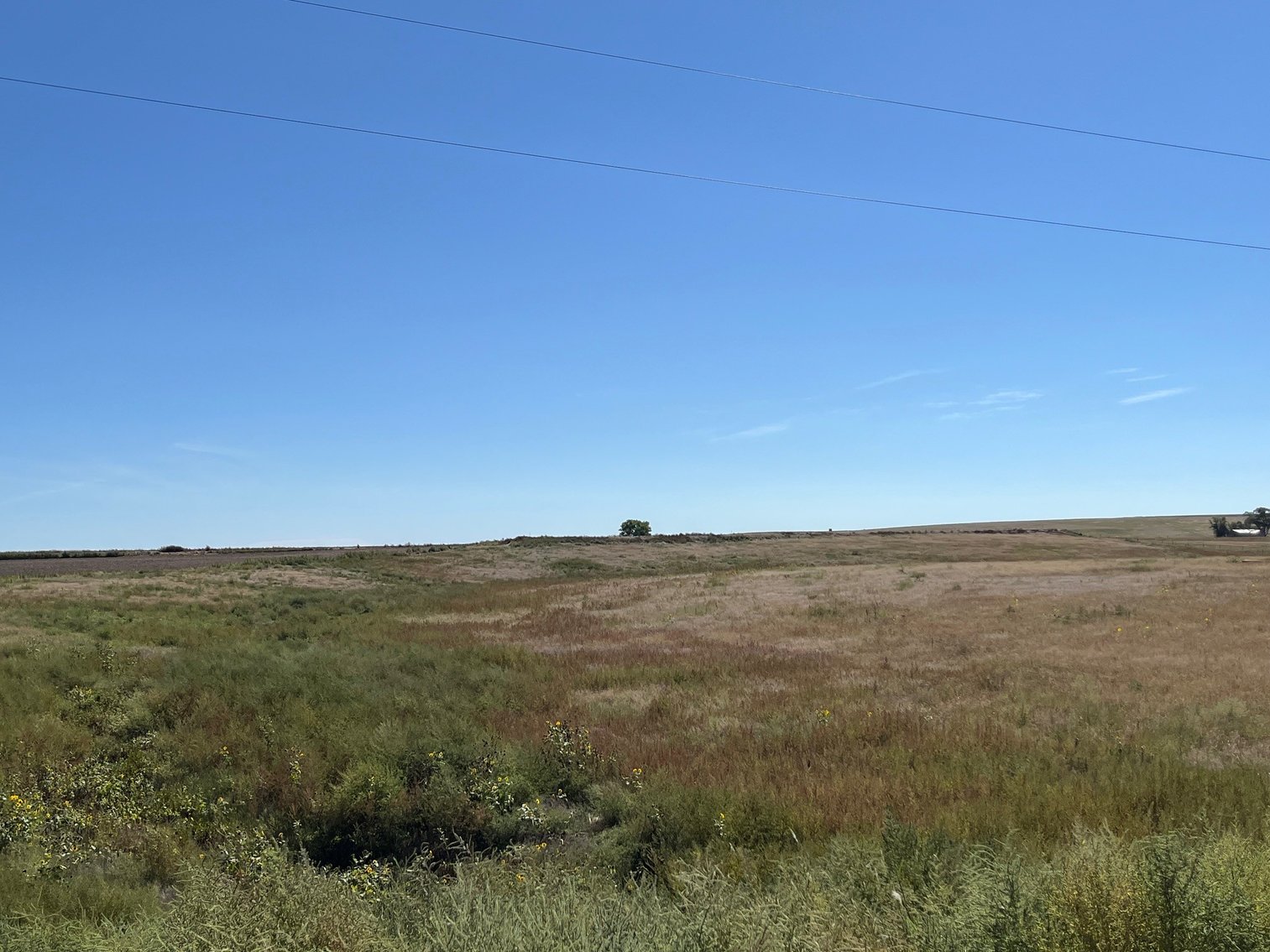 Image for SHERMAN COUNTY, KS - CROPLAND & GRASS