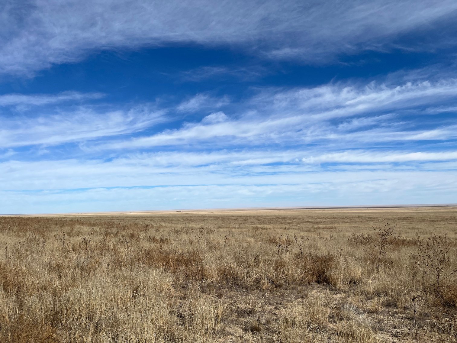 Image for CROWLEY COUNTY, CO - CRP LAND (C4087)