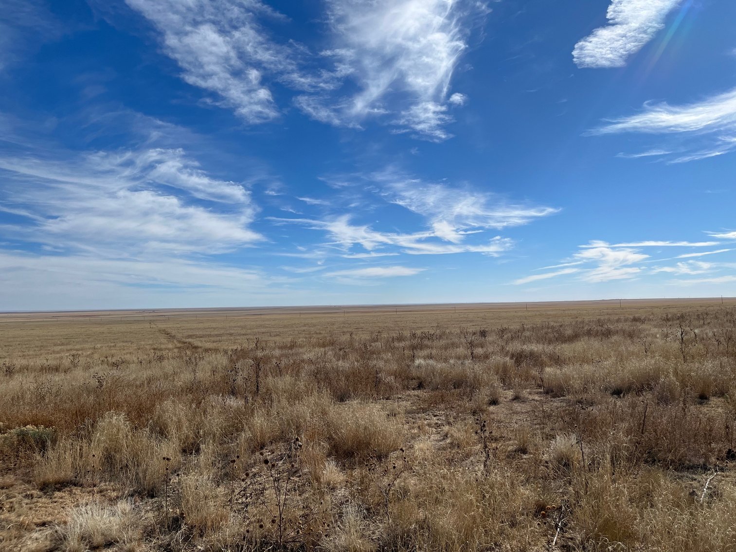 Image for CROWLEY COUNTY, CO - CRP LAND (C4087)