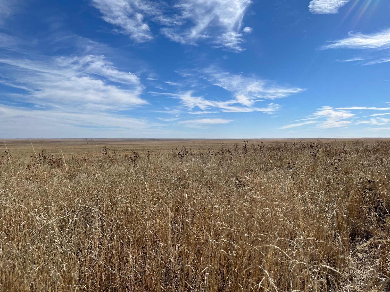 Image for CROWLEY COUNTY, CO - CRP LAND (C4087)