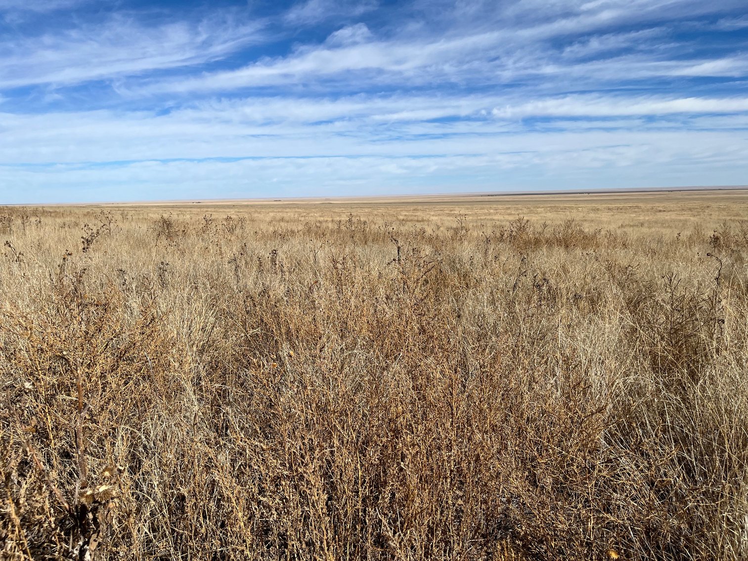 Image for CROWLEY COUNTY, CO - CRP LAND (C4087)