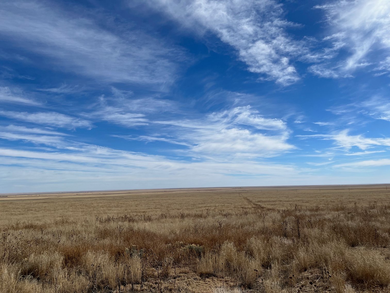 Image for CROWLEY COUNTY, CO - CRP LAND (C4087)