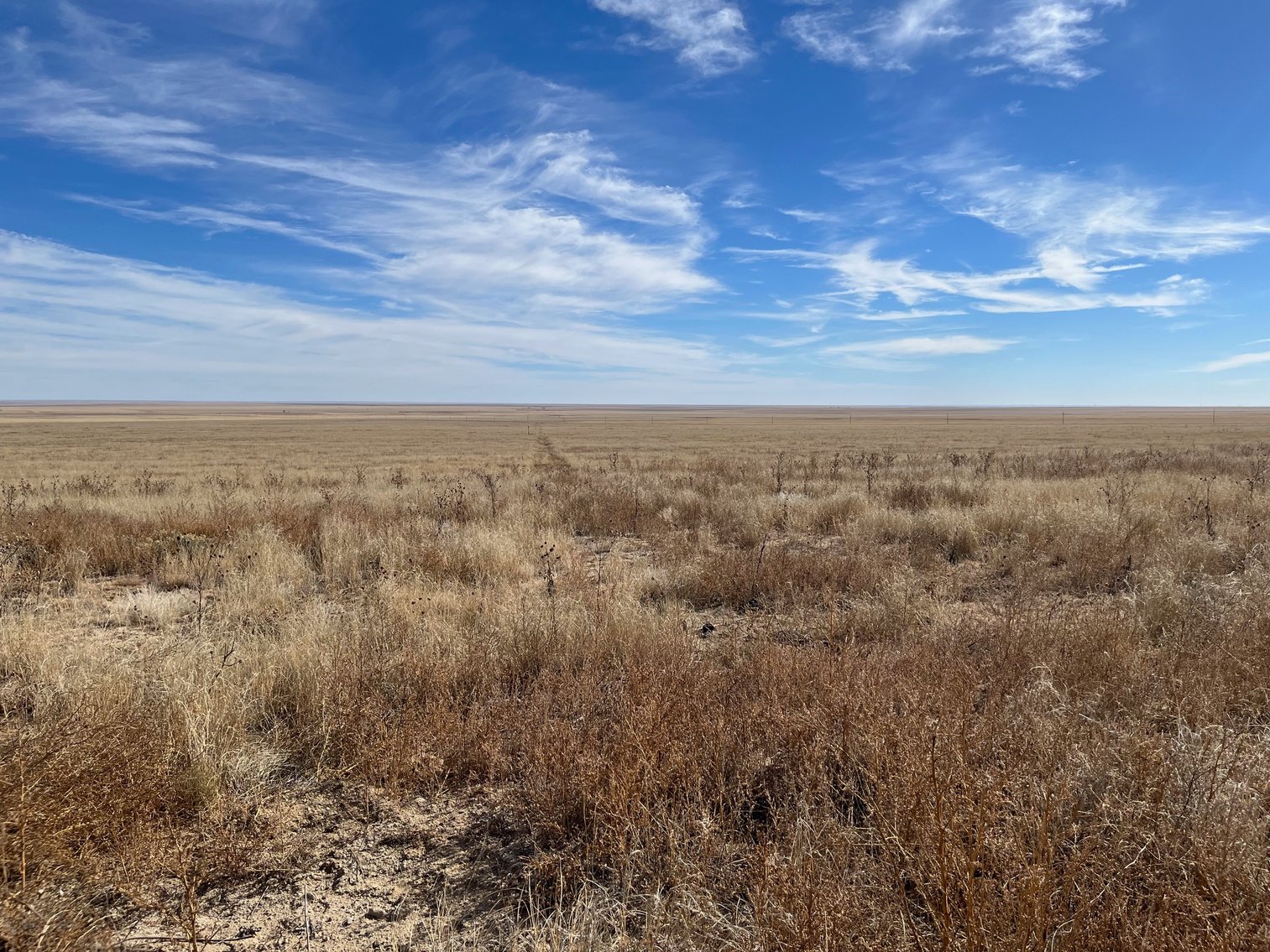 Image for CROWLEY COUNTY, CO - CRP LAND (C4087)