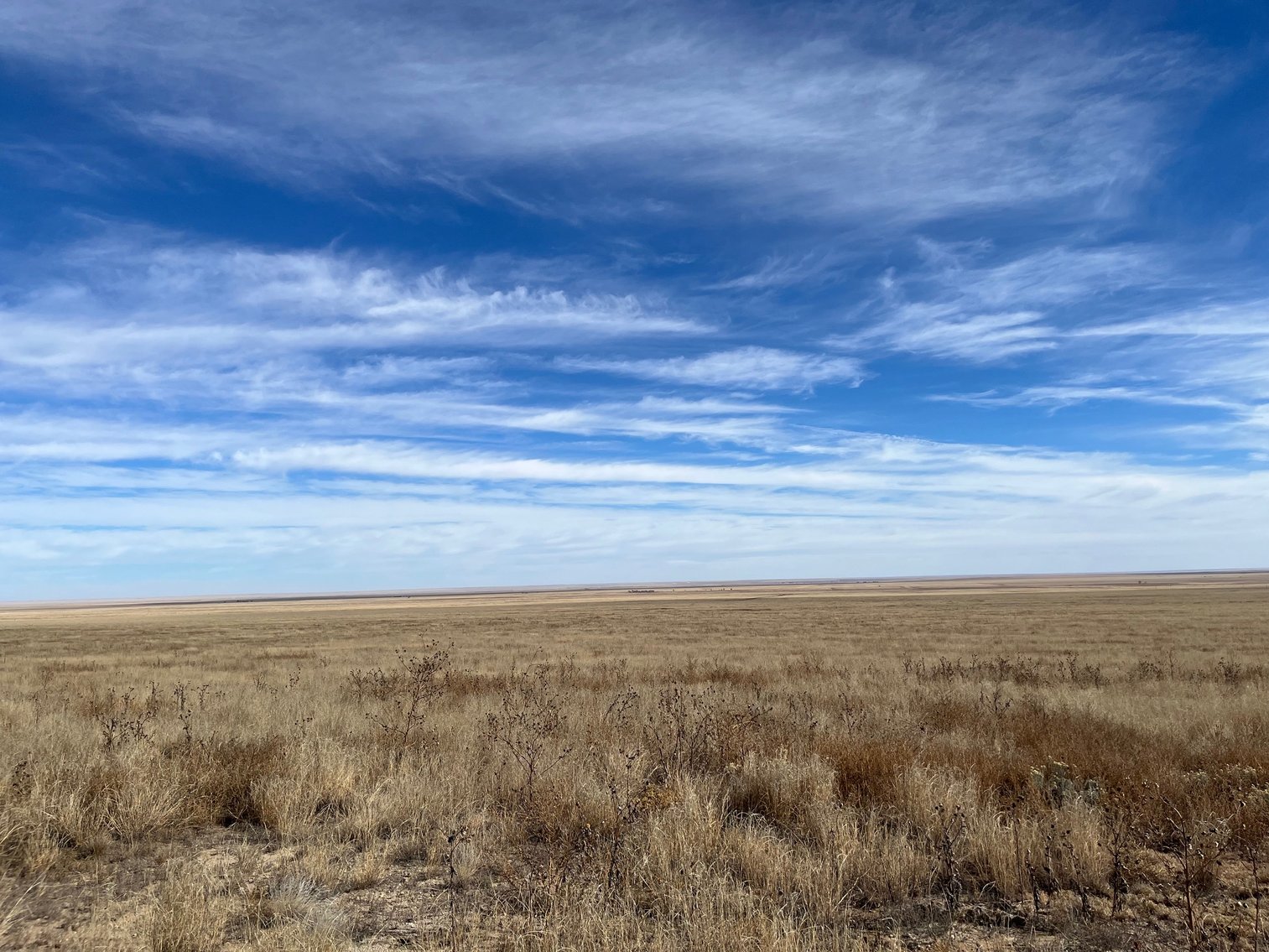 Image for CROWLEY COUNTY, CO - CRP LAND (C4087)