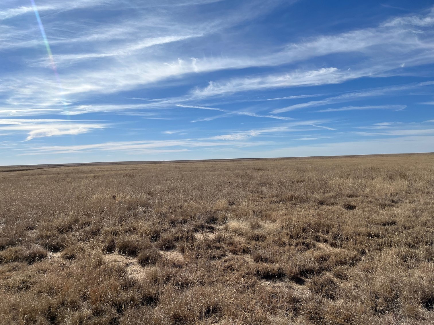 Image for KIOWA COUNTY, CO - CRP LAND