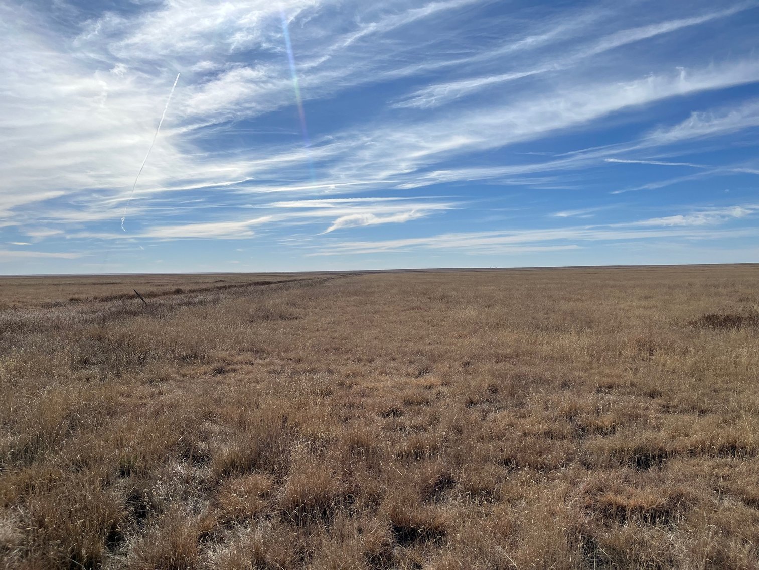 Image for KIOWA COUNTY, CO - CRP LAND