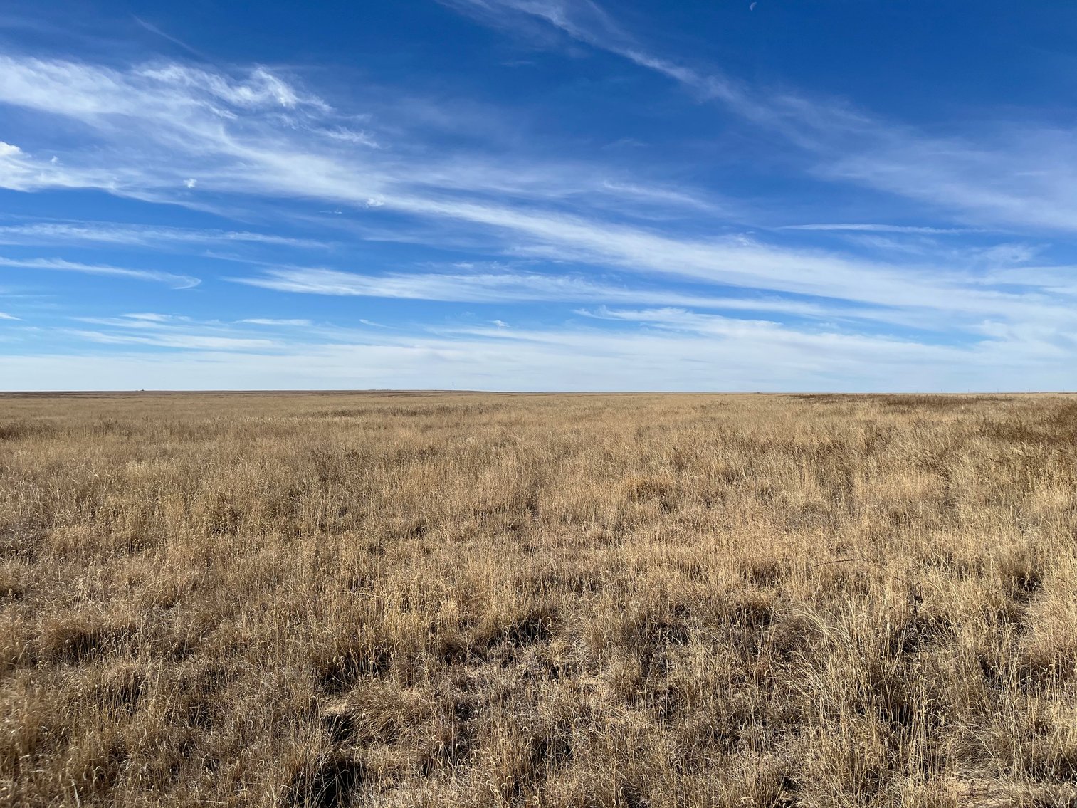 Image for KIOWA COUNTY, CO - CRP LAND
