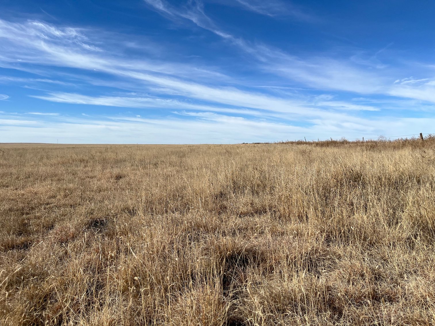 Image for KIOWA COUNTY, CO - CRP LAND