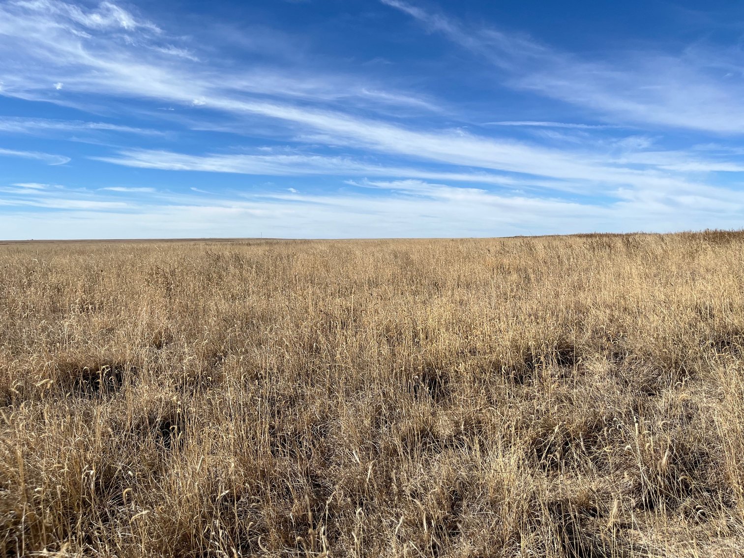 Image for KIOWA COUNTY, CO - CRP LAND