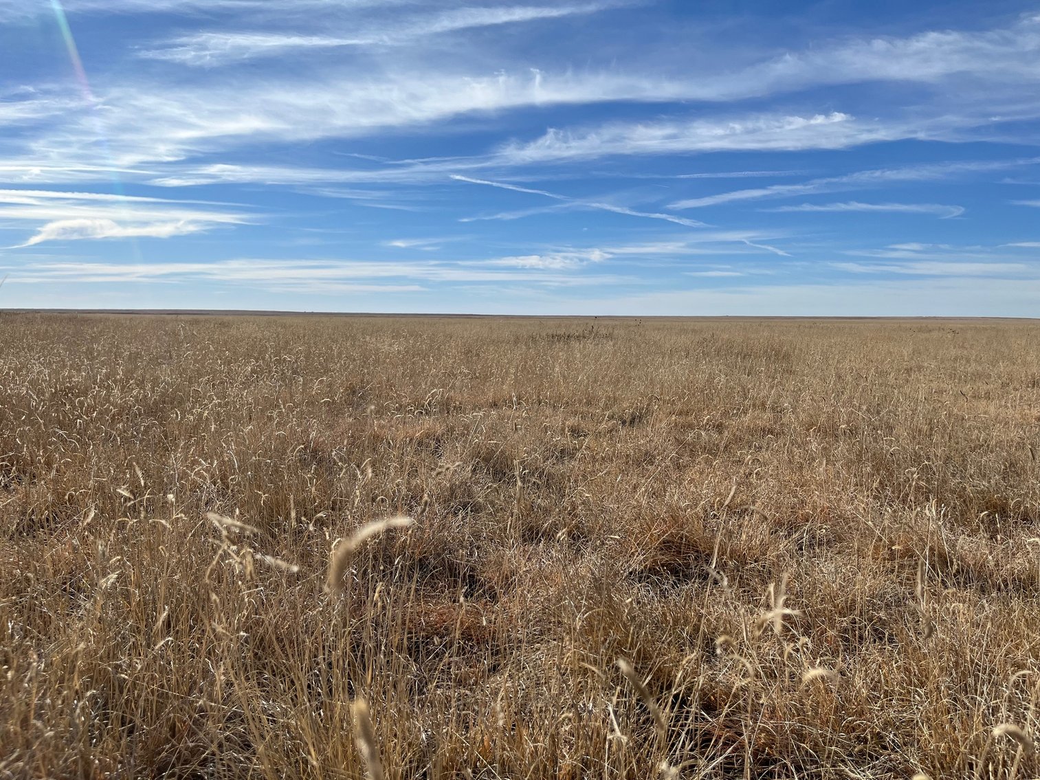 Image for KIOWA COUNTY, CO - CRP LAND