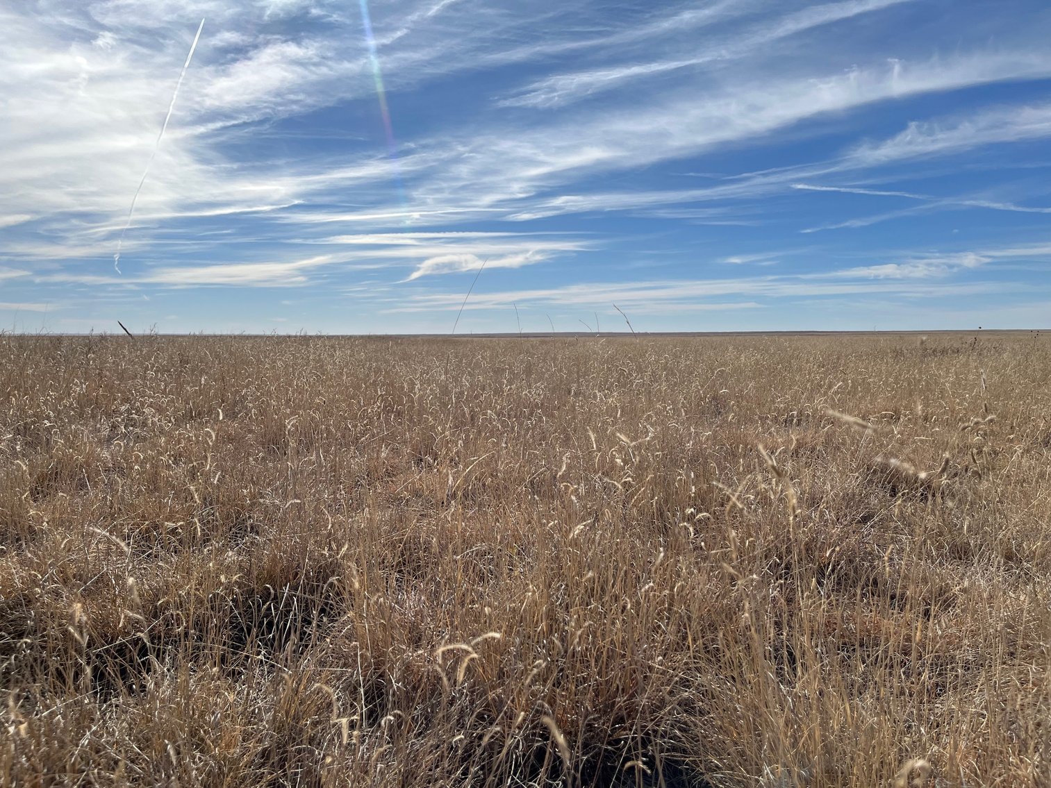 Image for KIOWA COUNTY, CO - CRP LAND