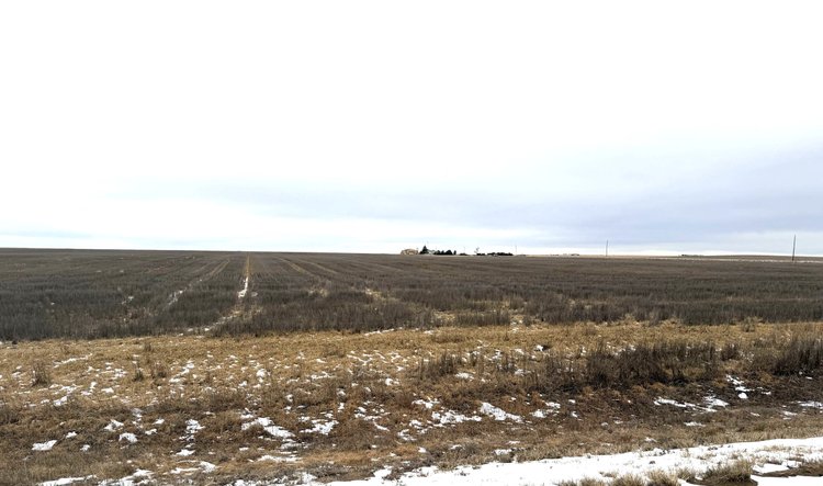Image for LINCOLN COUNTY, CO - CROPLAND, GRASS & EXPIRED CRP (B3030)