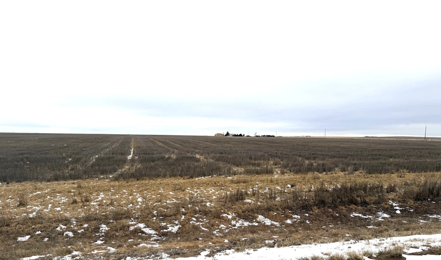 Image for LINCOLN COUNTY, CO - CROPLAND, GRASS & EXPIRED CRP (B3030)