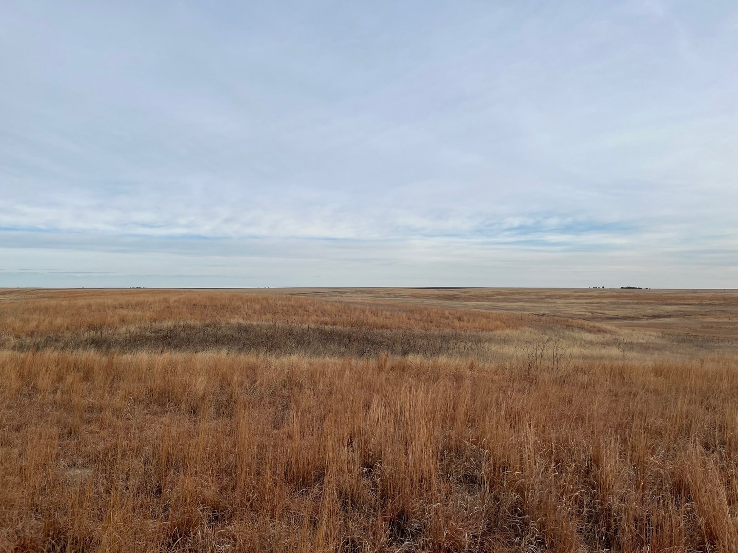 Image for WALLACE COUNTY, KS - EXPIRED CRP