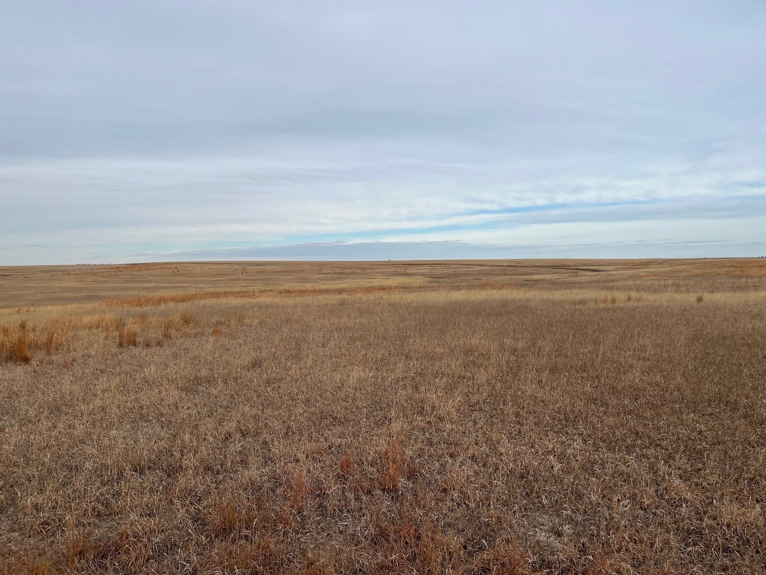 Image for WALLACE COUNTY, KS - EXPIRED CRP