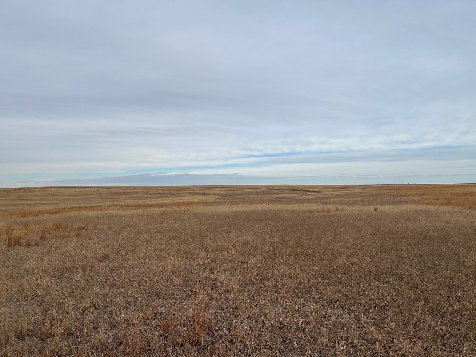 Image for WALLACE COUNTY, KS - EXPIRED CRP