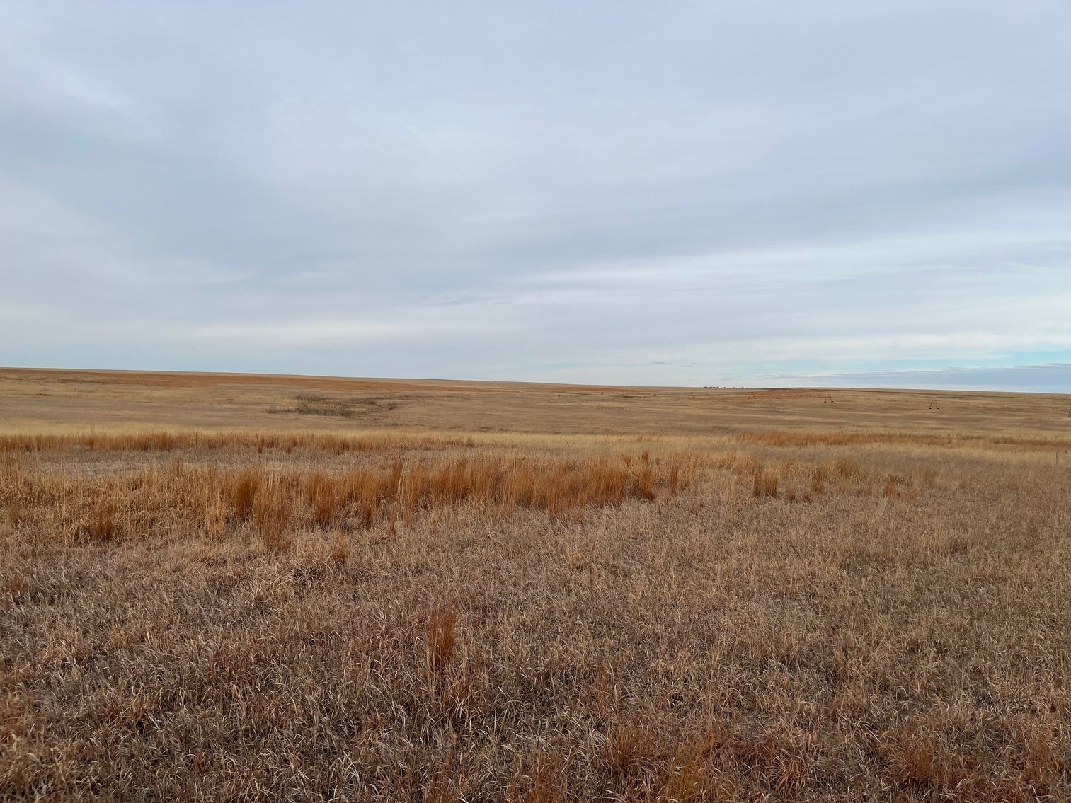 Image for WALLACE COUNTY, KS - EXPIRED CRP