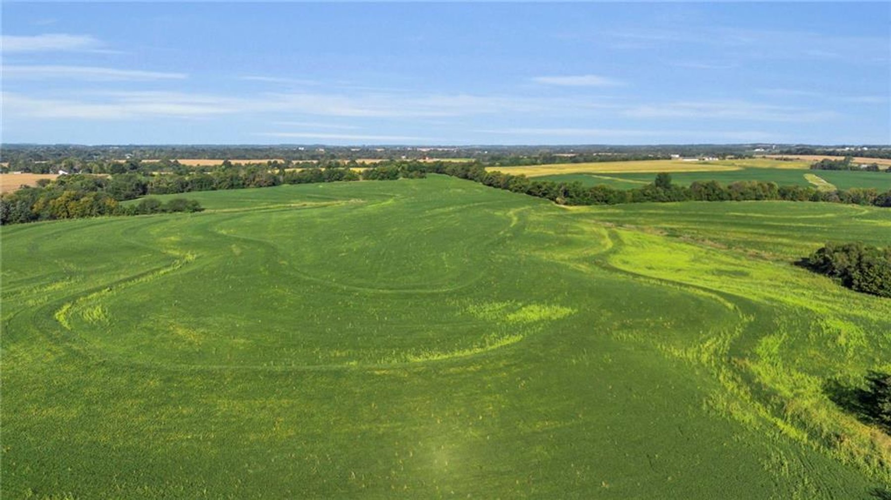 Image for Mayview Crop Ground