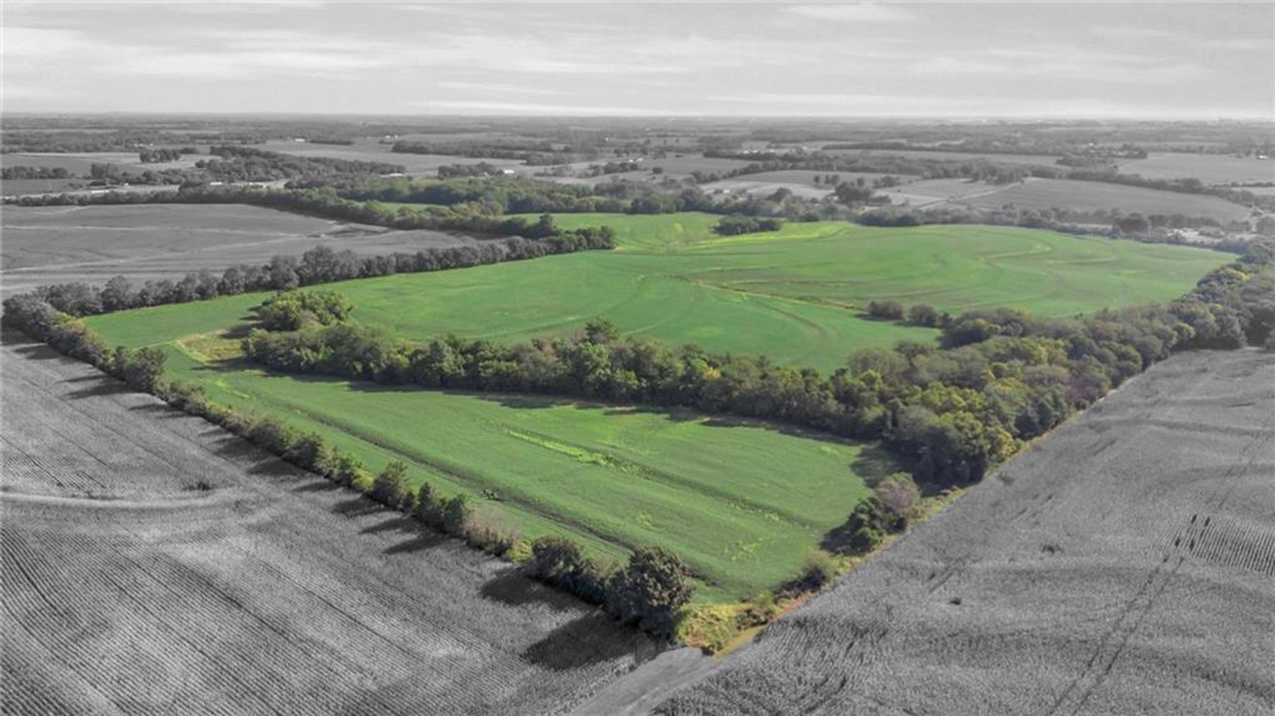 Image for Mayview Crop Ground