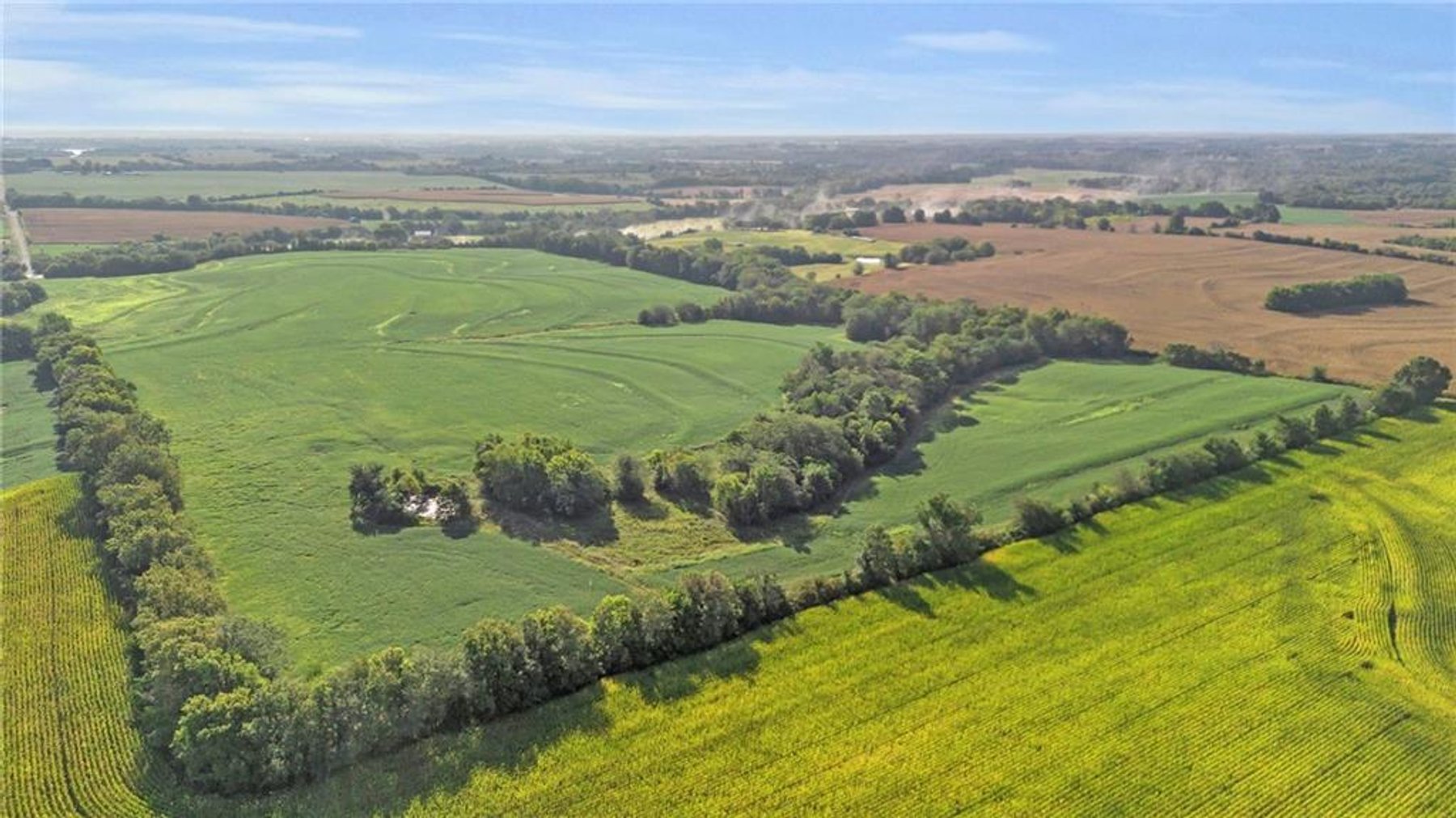 Image for Mayview Crop Ground