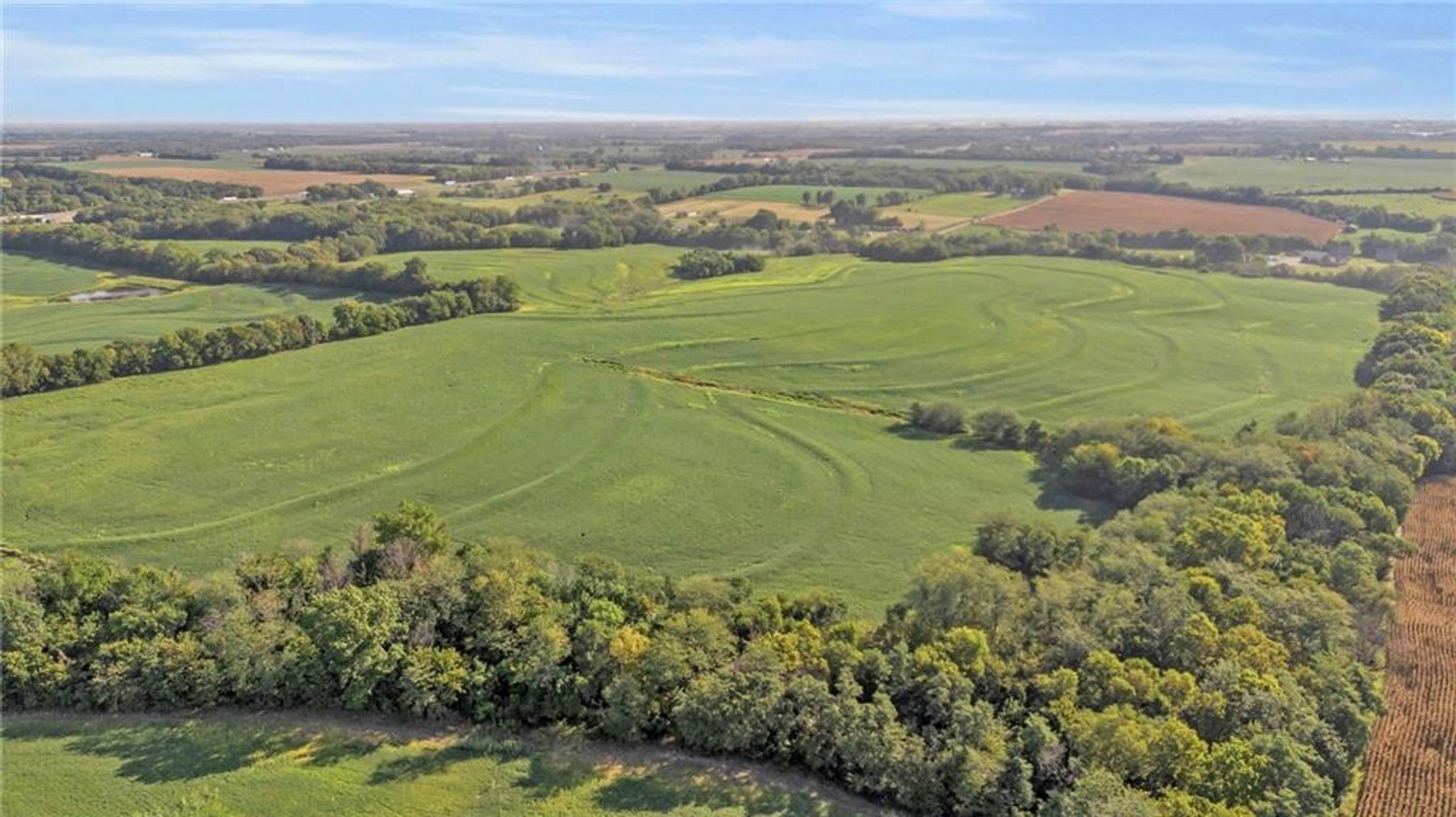 Image for Mayview Crop Ground