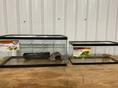 Critter Cages